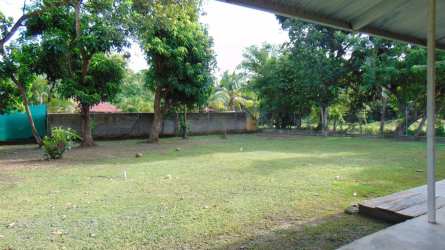 Spacious backyard with terrace and lush green landscape in Punta Chame beach house
