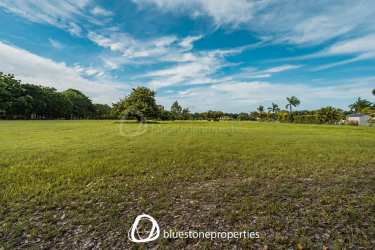 Expansive greens, lakes, palm trees and homes in Buenaventura beach and golf resort