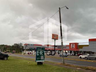 132 meters of frontage on Pan-American Highway in Bugaba ideal for commercial development