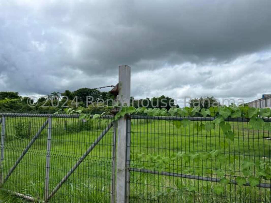 Grassy green commercial land with fencing in industrial park Pacora Panama