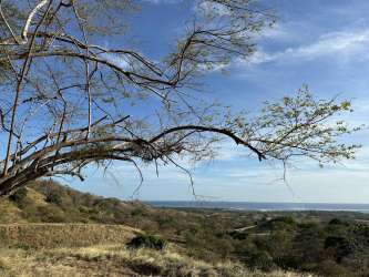 Pastoral landscape with beautiful ocean horizon perfect for eco-development in Panama
