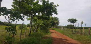 Land for Sale in Santa Ana - 0 bedrooms