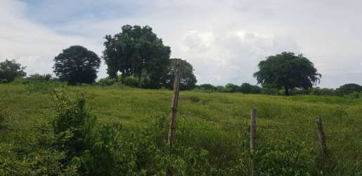Rustic country dirt road lined with fences and greenery leading to farmland in Los Santos Panama