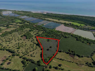 Aerial view of farmland near coast with ponds and outlined boundaries in Los Santos Panama