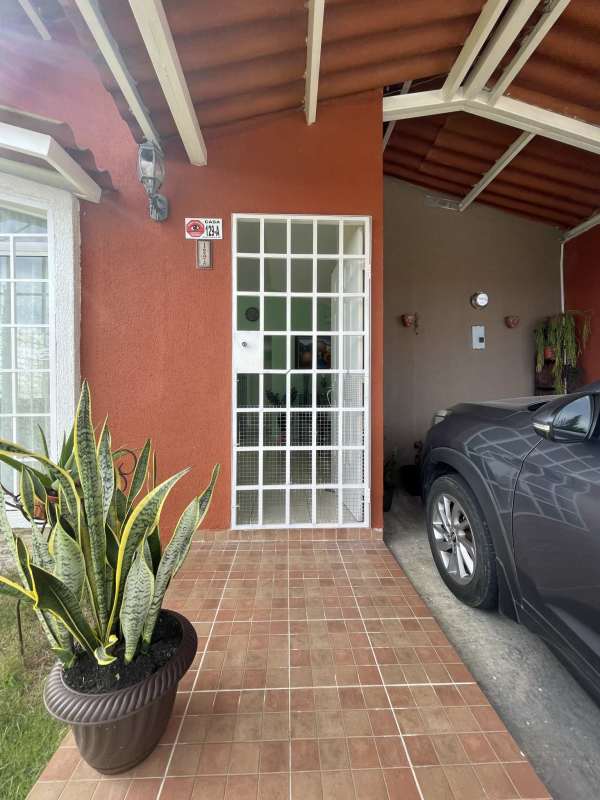 Backyard garden shaded with netting, fenced, plants, AC unit, PH Colinas del Lago Las Cumbres Panama