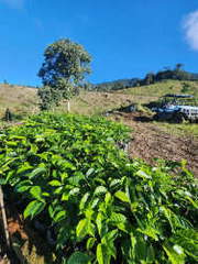 Land for Sale in Nueva California sector - 2 bedrooms