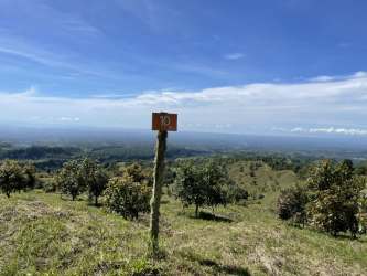 Hilltop marker sign in scenic Geisha coffee lot with countryside views Panama