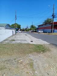 Open clear lot with grass and trees ideal for building near Interamericana in David