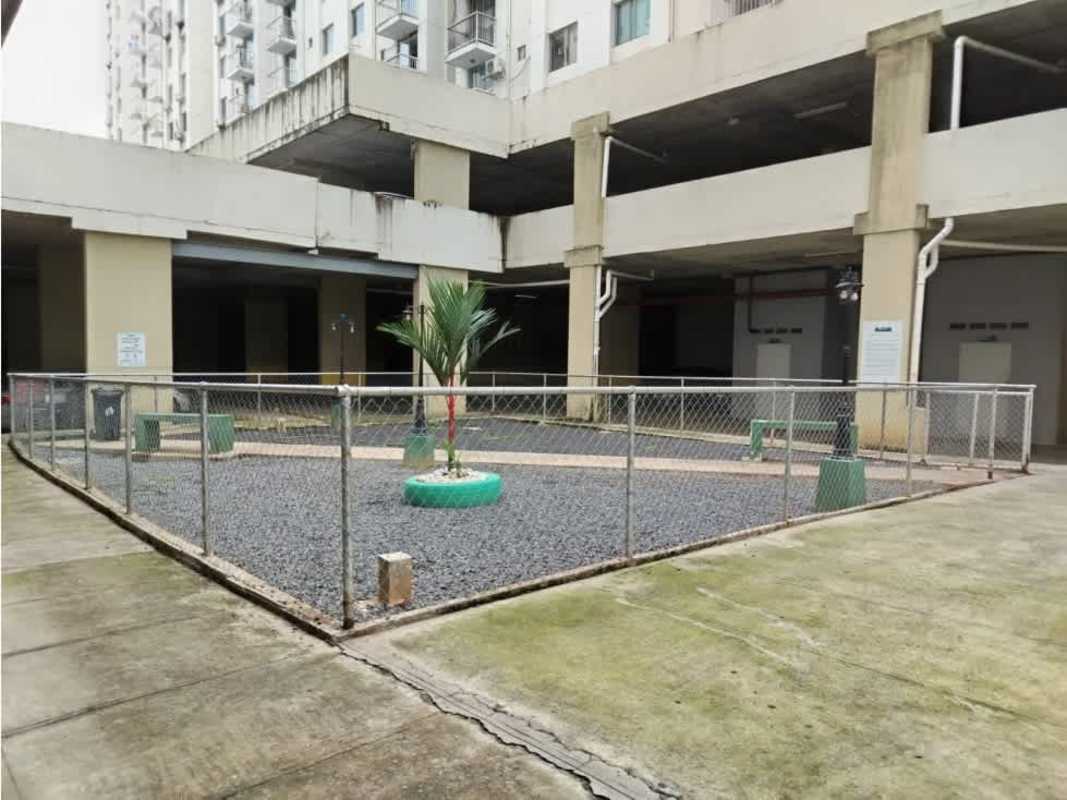 Courtyard with palm trees and fence PH Mystic Tower Rio Abajo Panama