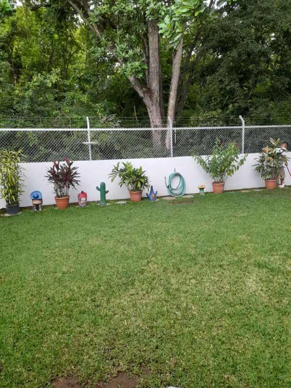 Functional covered side walkway with plants, green wall and secure fencing in La Alameda Panama