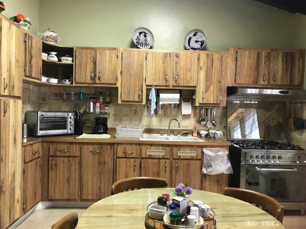 Fenced backyard garden with lawn, mature trees and plants in quiet La Alameda residential area