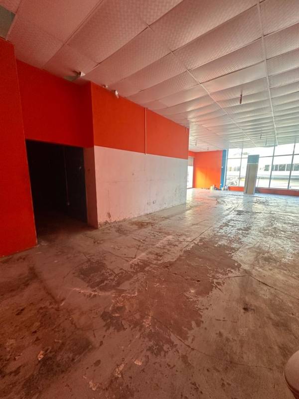 Wide retail showroom with red accent walls natural light concrete floor Via España Panama City