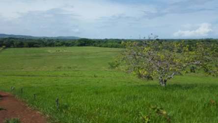Large 110Ha Dairy & Cattle Ranch for Sale in Santiago Veraguas