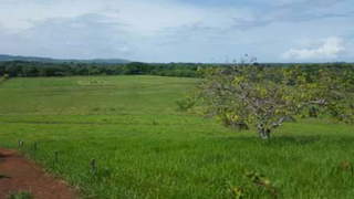 Land / Ranch for Sale in Santiago - 0 bedrooms