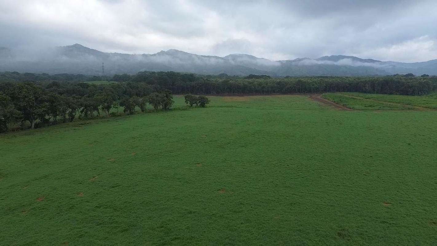 Open pasture area surrounded by forest edges and mountain scenery, rural Chepo Panama