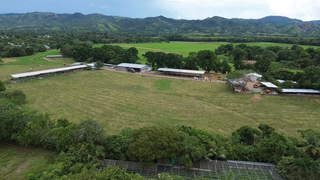 Land for Sale in Chepo - 0 bedrooms