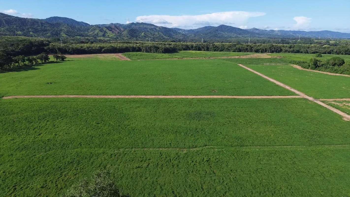 Vast green pasture under blue sky ideal for development in Chepo