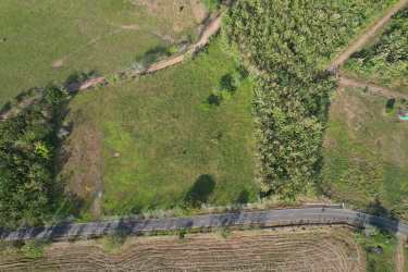 Building lot surrounded by nature close to Punta Mala Beach Pedasi Panama