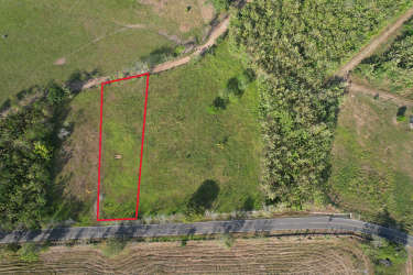1893 sqm plot ready to build with nature views Punta Mala Pedasi Panama