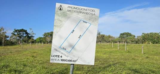 Plot sign and undeveloped build-ready lot with greenery Pedasi Punta Mala Panama