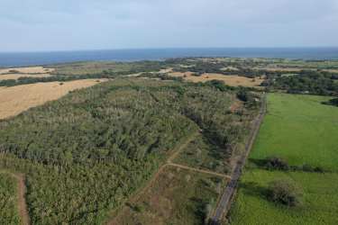 Aerial photo of rural building lot with trees and paved road in Pedasi Punta Mala Panama