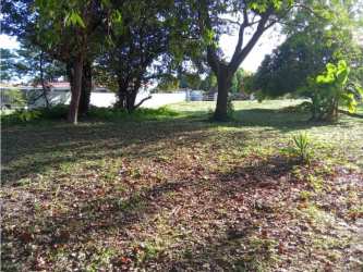 Open grassy space with mature trees surrounding residential lot in Coronado Panama