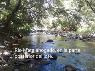 Open 7000m2 lot with dense green vegetation and flat buildable areas El Nance San Carlos Panama