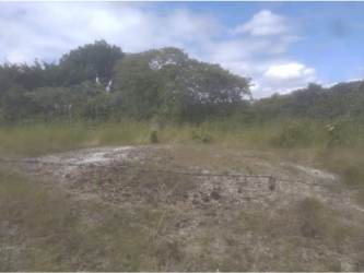 Rolling hill terrain with natural vegetation on farmland in El Nance San Carlos Panama