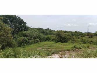 Aerial image showing property boundaries natural vegetation and access road of 7000m2 lot El Nance San Carlos Panama