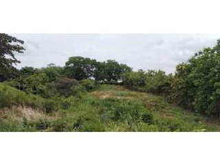 Land for Sale in Las Uvas - 0 bedrooms