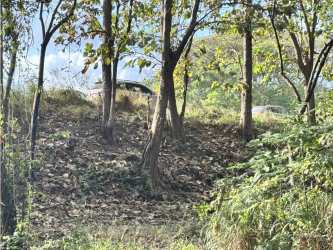 Highway frontage commercial developable land Nueva Gorgona for sale Panama Oeste