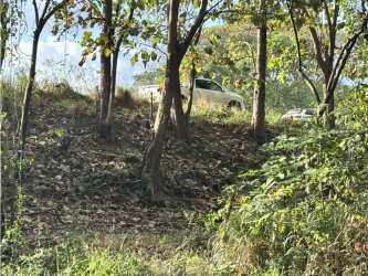 Expansive flat land with mature vegetation ideal investment Gorgona Panama