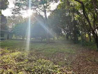 Land for Sale in Punta Chame - 0 bedrooms