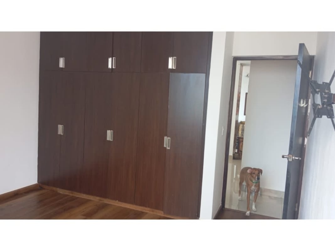 Modern dining area with hanging chair and skyline view in PH Infinity Tower Panama City
