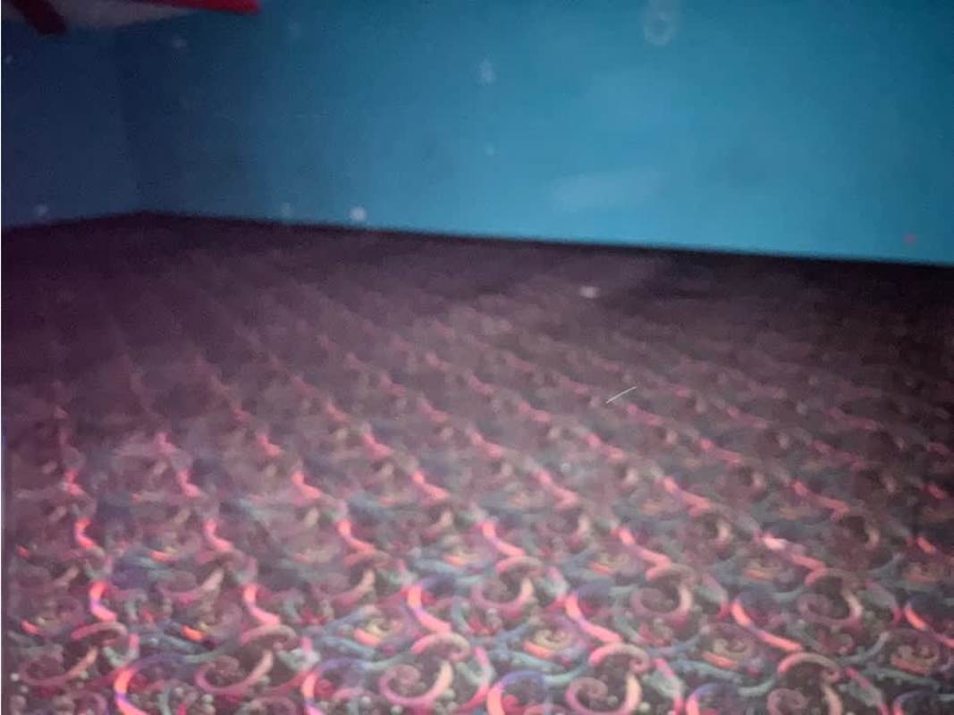 Empty commercial space featuring blue wall and patterned carpet in Bella Vista Panama City