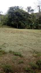 Flat spacious land ideal for house construction in El Coco Panama