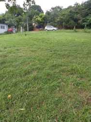 Natural plot with mature trees Potrero Grande La Chorrera Panama