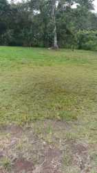 Titled vacant land with natural surroundings in El Coco La Chorrera Panama