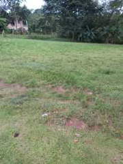 Land Lot for Sale in El Coco - 0 bedrooms