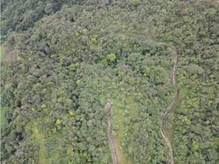 Land for Sale in Chame - 0 bedrooms