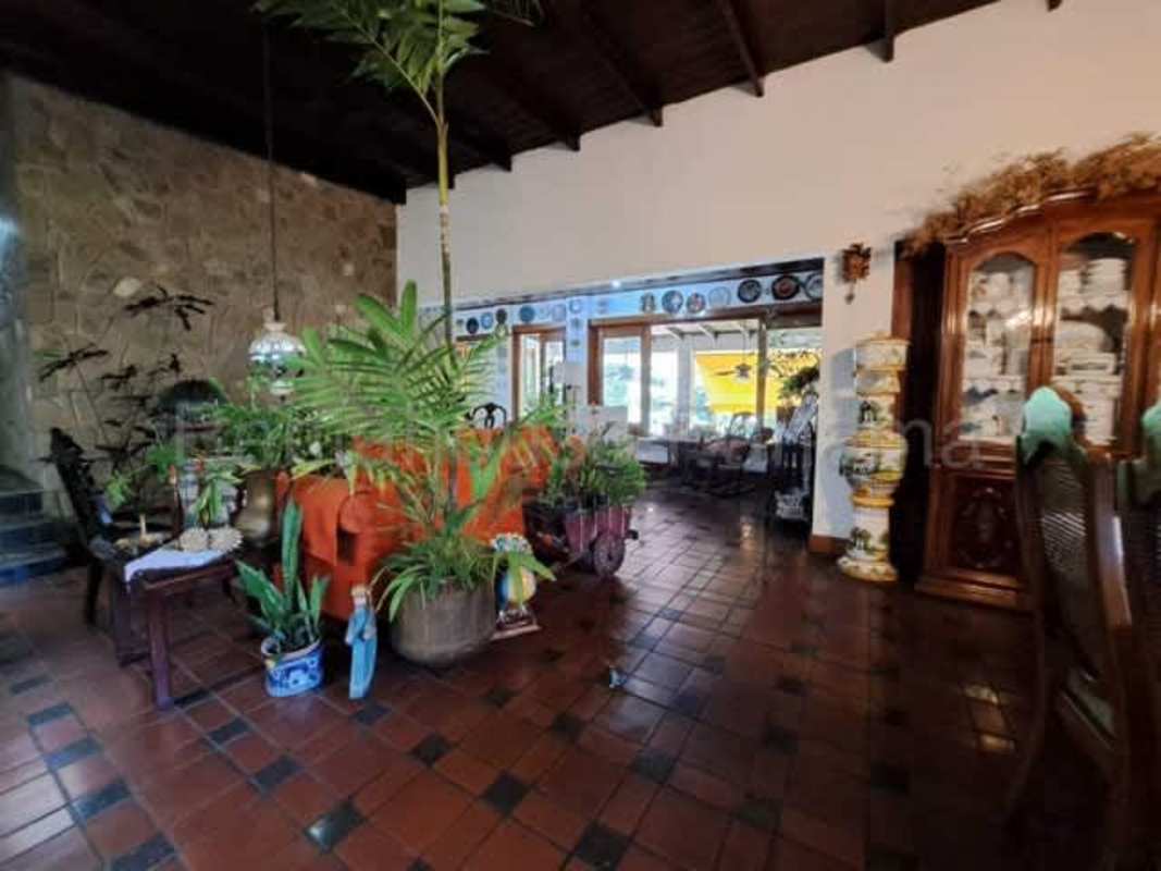 Indoor atrium with skylight and tropical plants inside Betania house for sale Panama