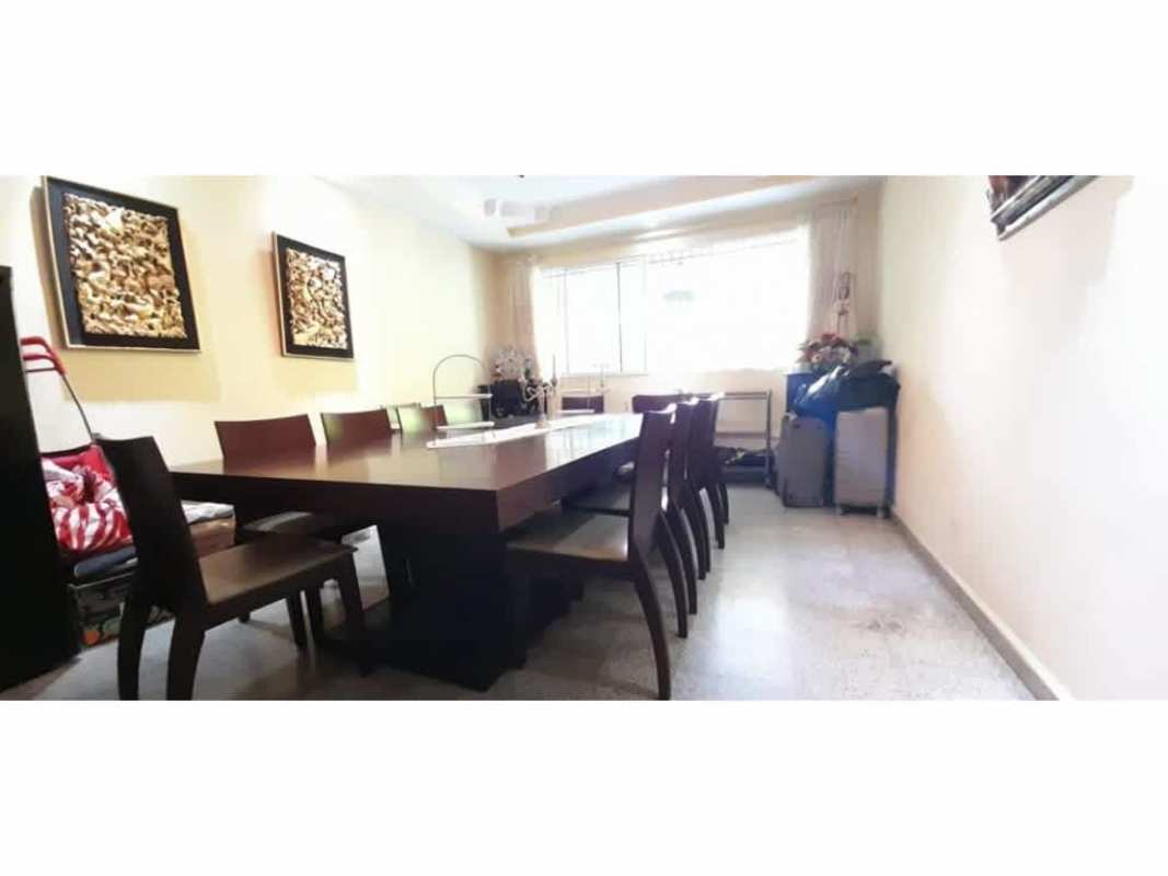 Expansive backyard with tropical trees and greenery in San Francisco home