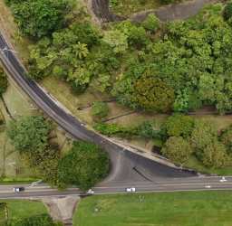 Roads street access dense greenery near Panama Pacifico land for sale