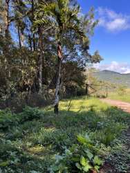 Lush tropical mountain landscape and gardens of Altos del María residential Panama