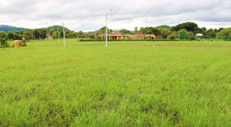 Large grassy open residential lot in PH La Colonia with mountain background in Bejuco Panama