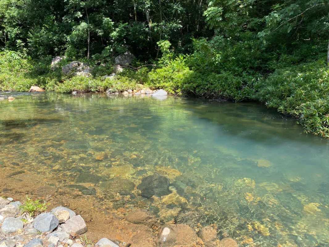 Stream with rocks, dense green surroundings Paso Blanco estate land Panama