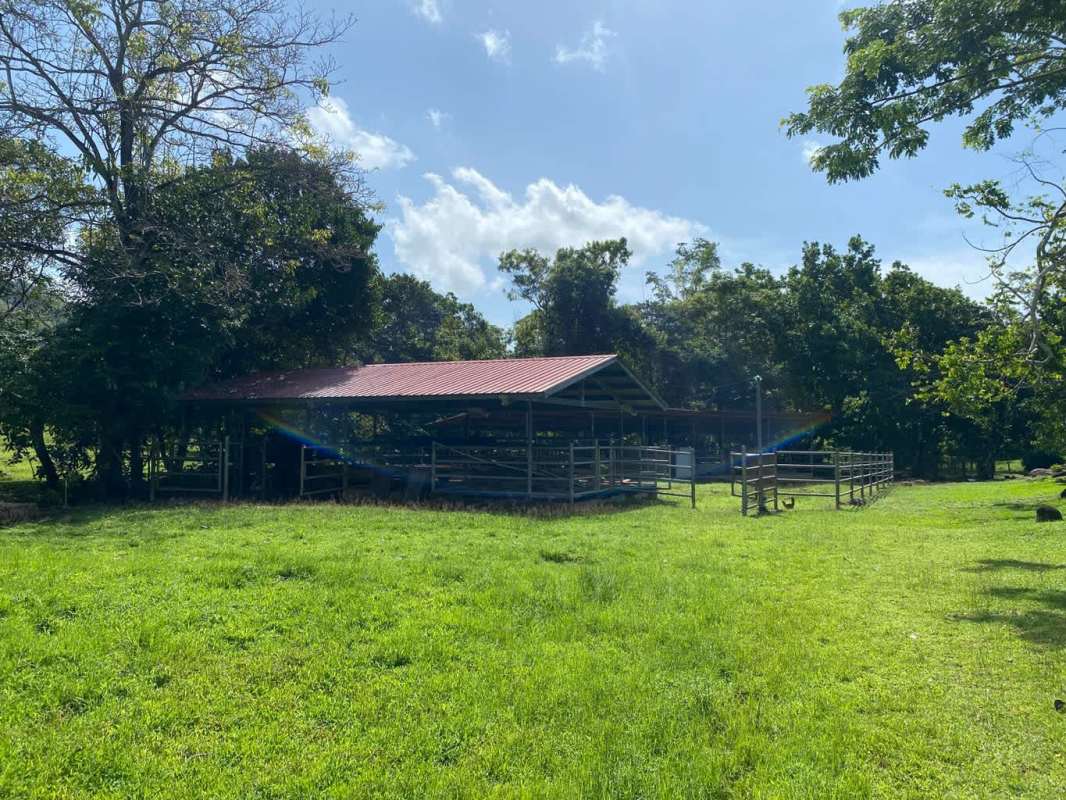 Metal barn red roof fenced animal pens lush greenery Pacora Panama
