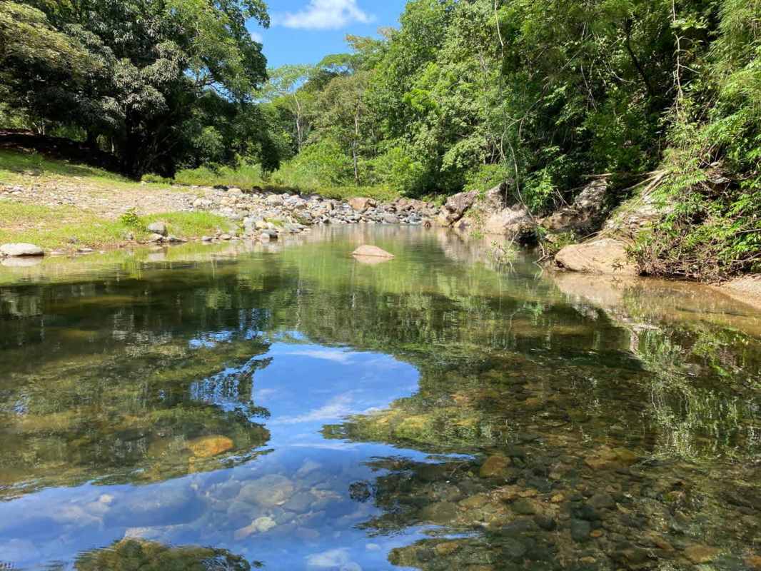 Clean creek with rocks under green forest Paso Blanco Panama property