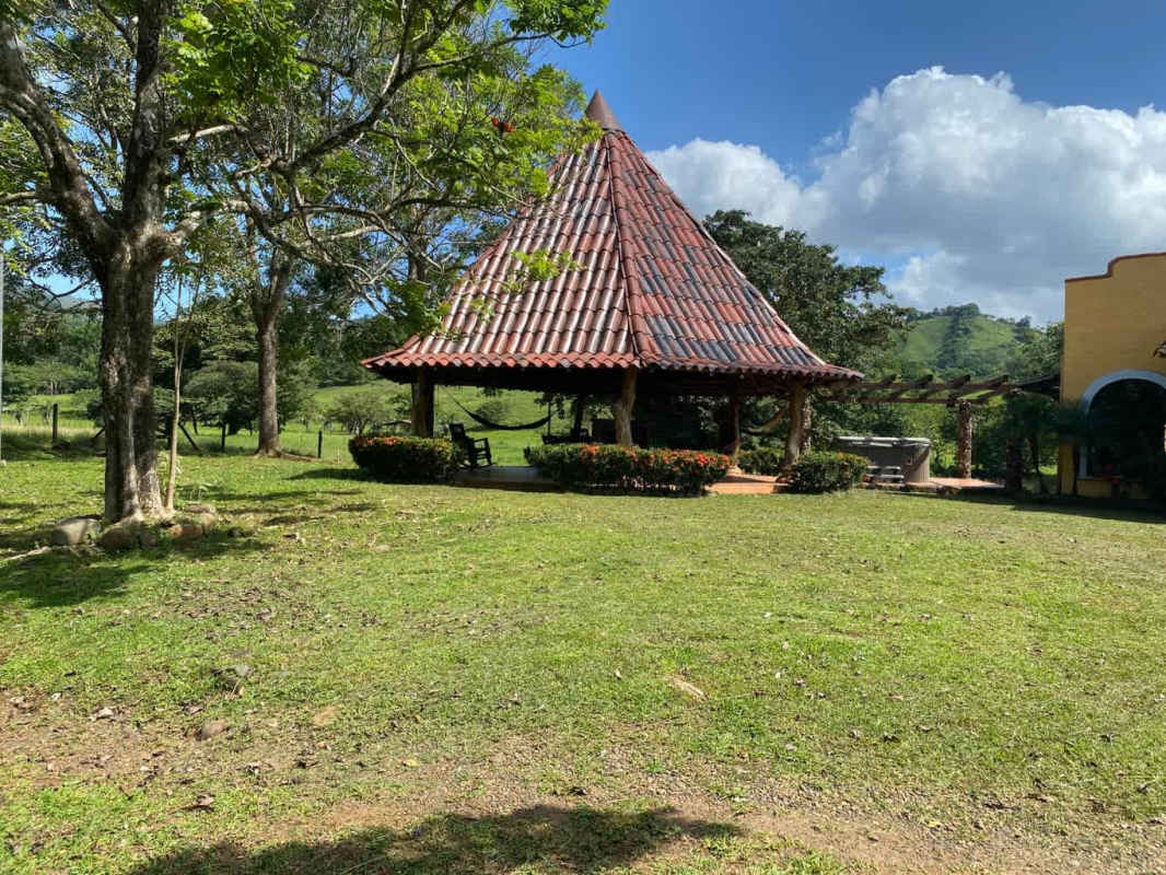 Dense forest clears to shallow river Paso Blanco Pacora countryside land