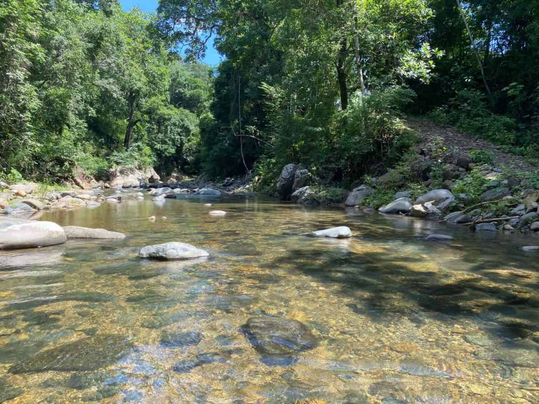 Clear creek flowing with rocks surrounded by forest Paso Blanco Pacora